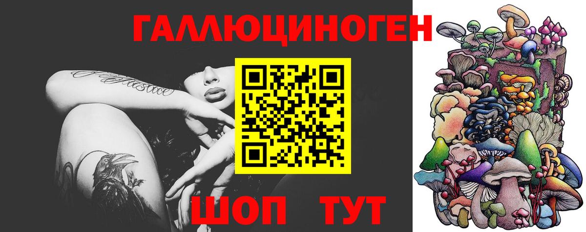 Малгобек  Галлюциногенные грибы GOLDEN TEACHER  продажа наркотиков  Вход с VPN 